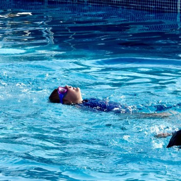 People swimming in Arundel Lido's outdoor pool.